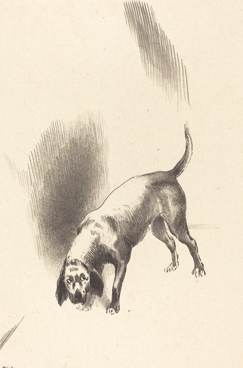 The Dog by Odilon Redon