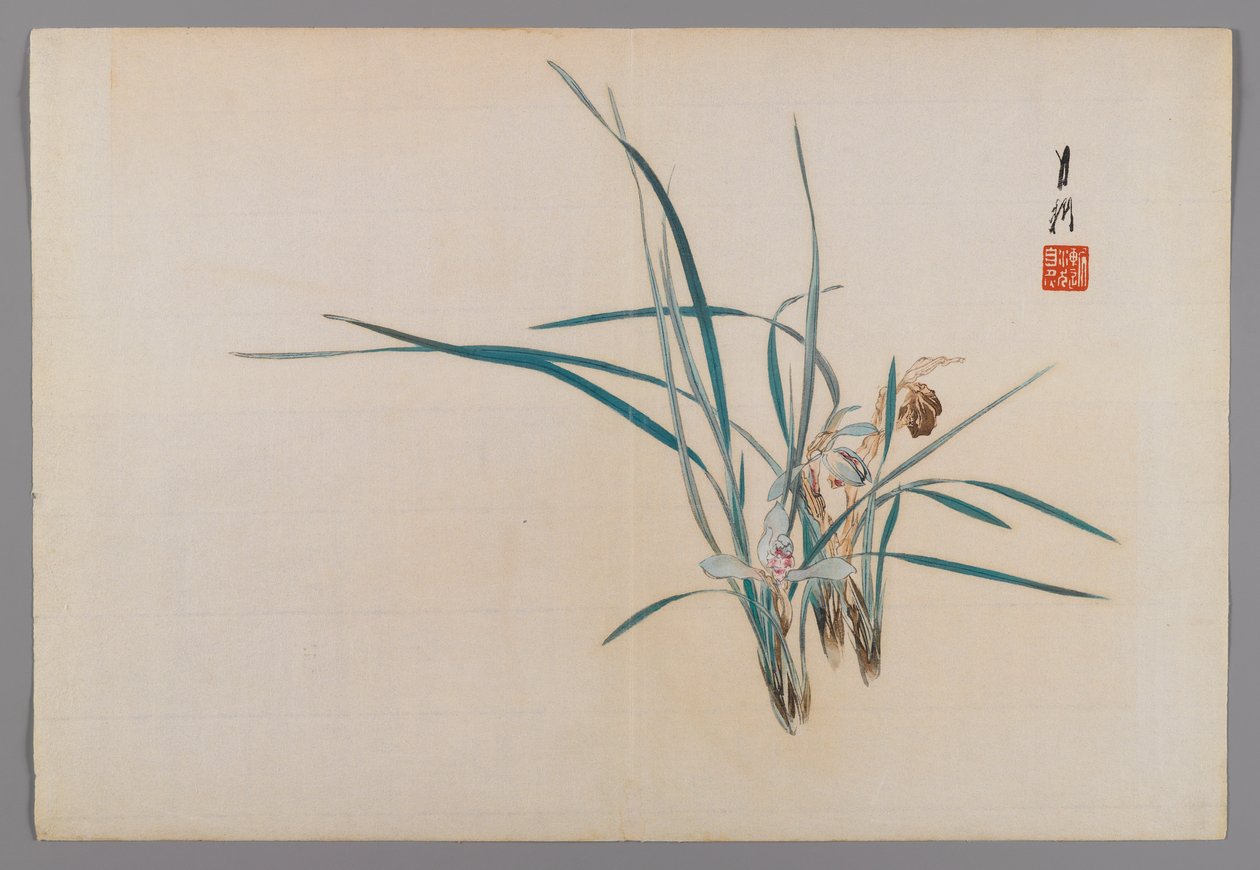 Orchids, album page from a Bird and Flower (Kacho) Book by Ogata Gekko