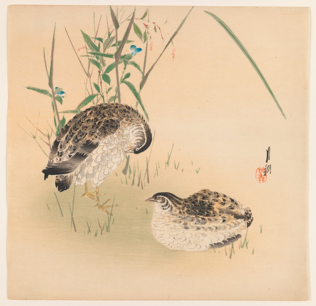 Two Quail by Ogata Gekko
