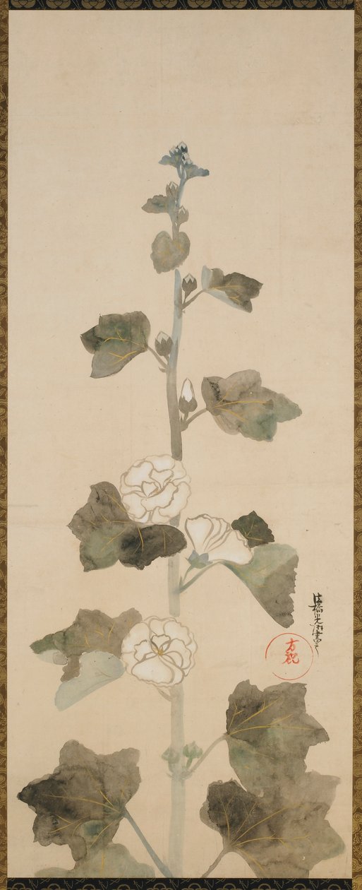 White Hollyhocks by Ogata Korin