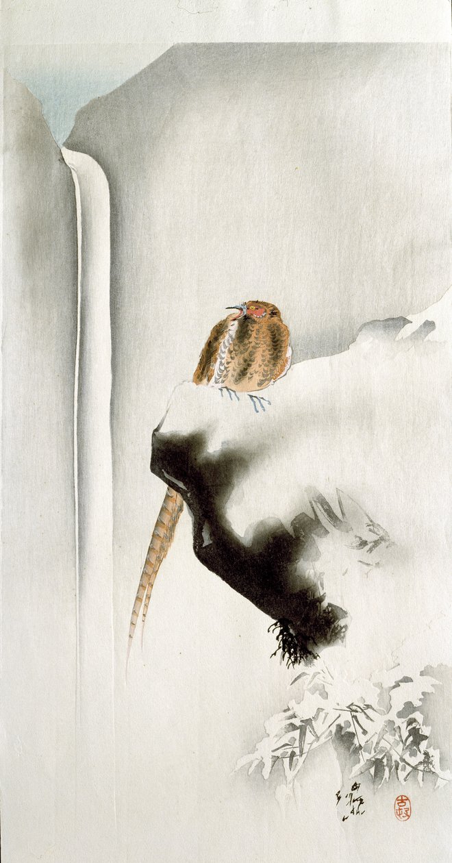 A pheasant on a cliff-edge, with a waterfall in the background, 1907 by Ohara Koson
