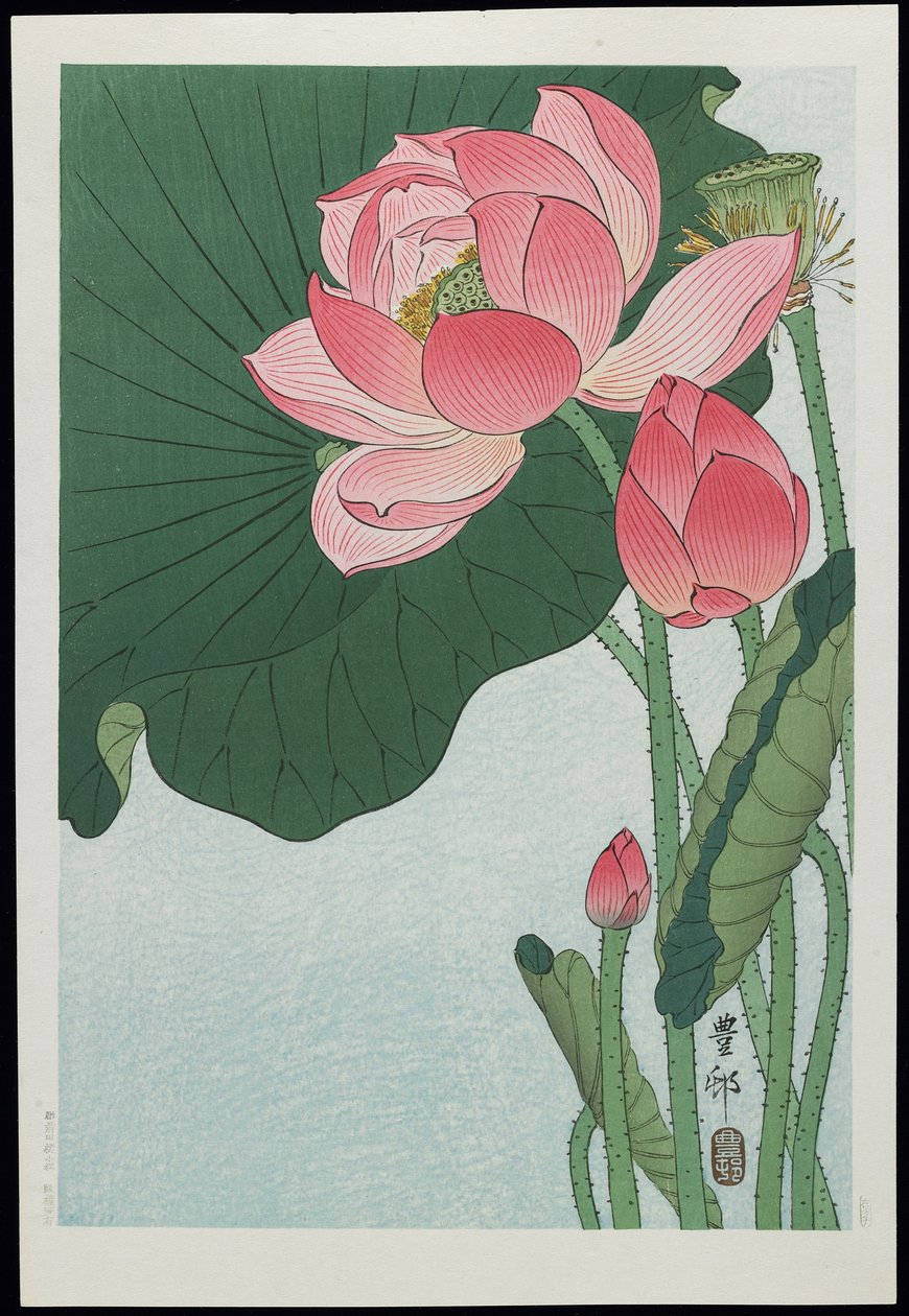 Lotus by Ohara Koson