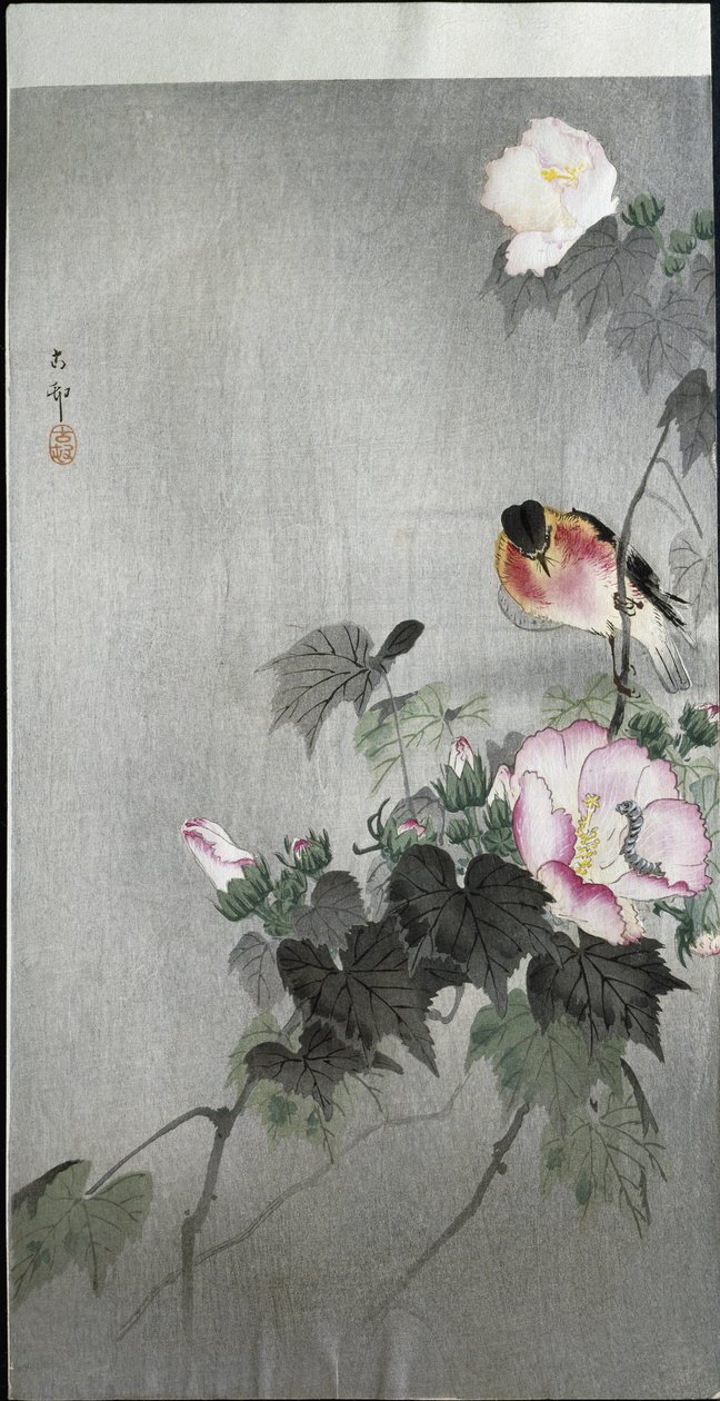 Stonechat and Blossoming Flower, 1907 by Ohara Koson