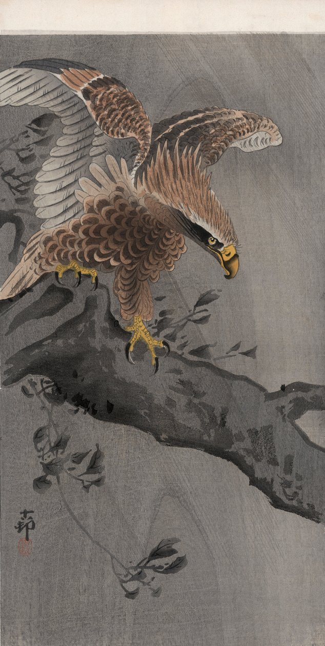 Eagle with Spread Wings on Tree Trunk by Ohara Koson