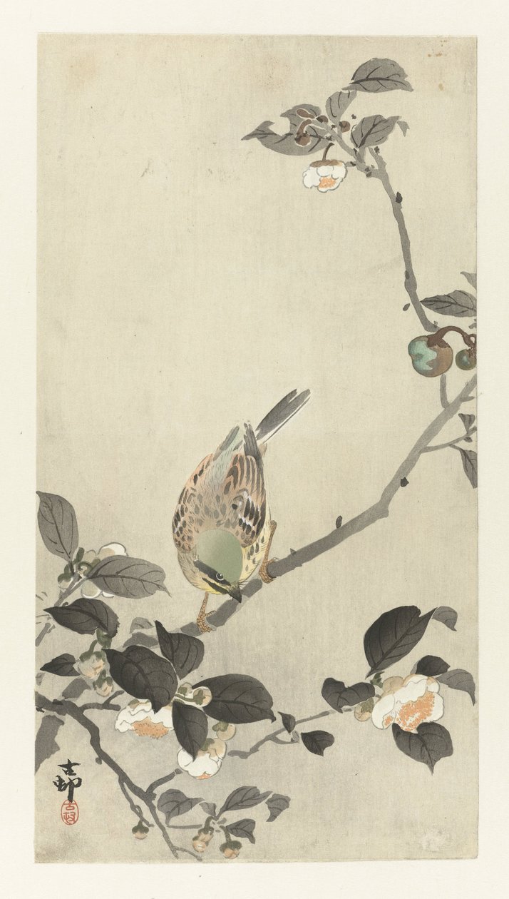 Bunting on Blossom Branch by Ohara Koson