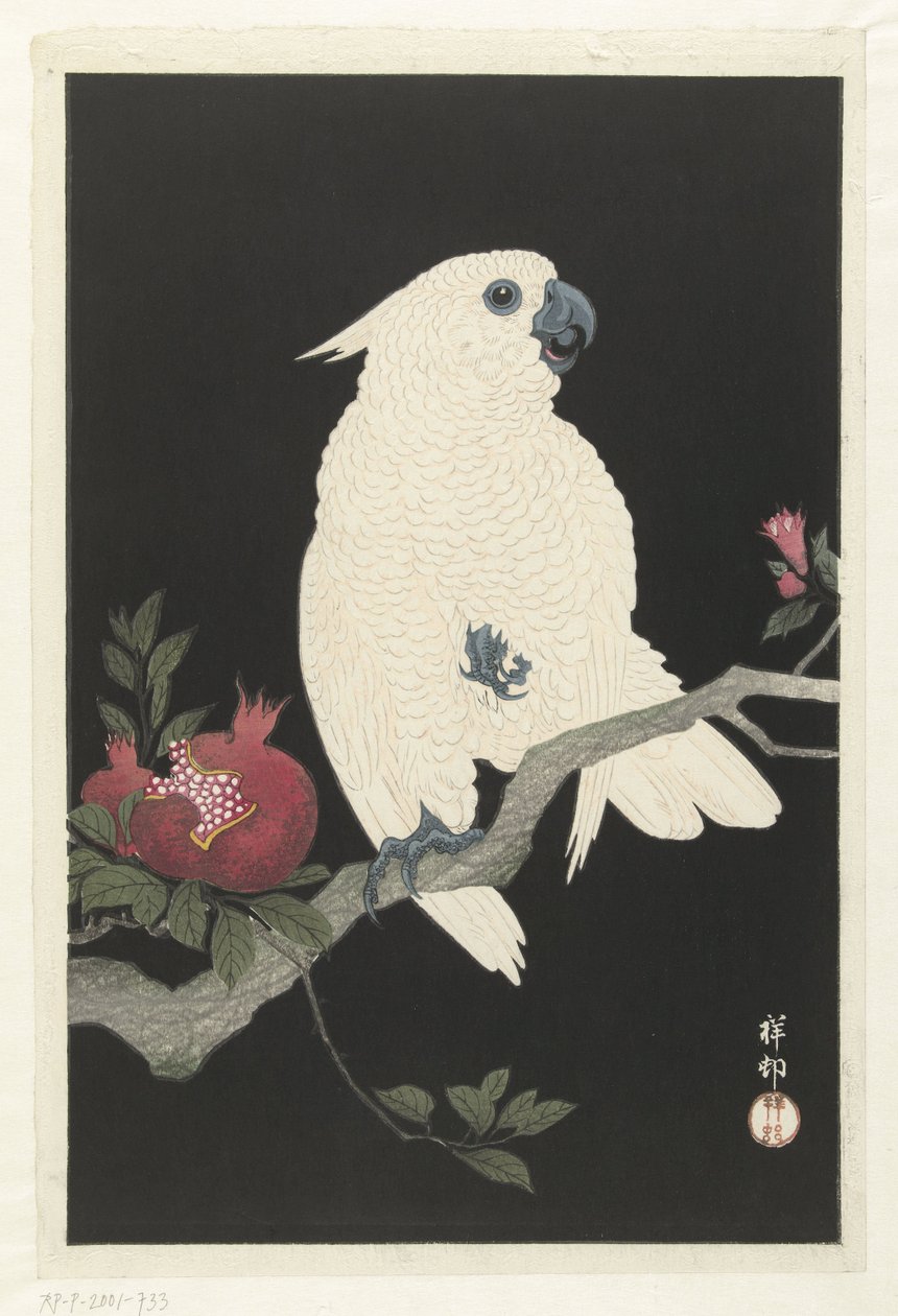 Cockatoo and Pomegranate by Ohara Koson