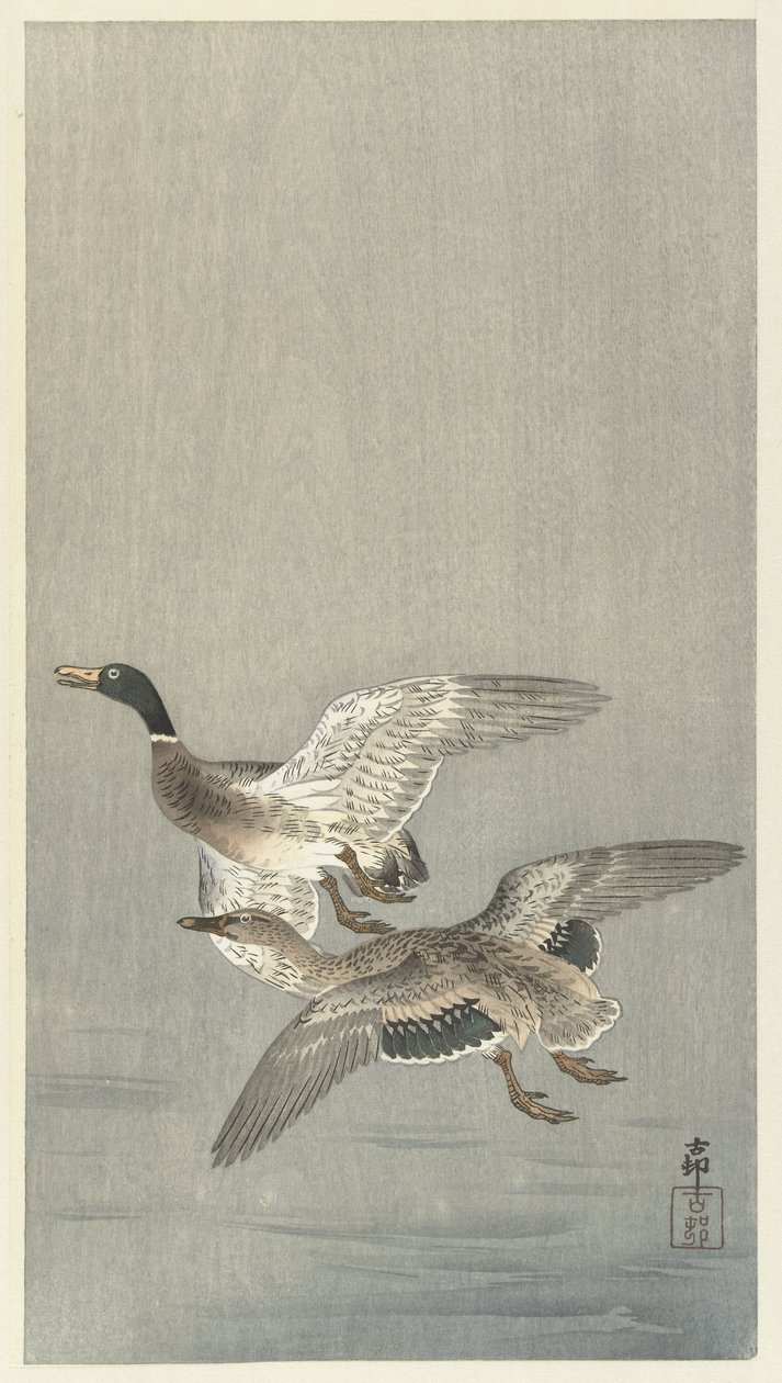 Pair of Ducks by Ohara Koson