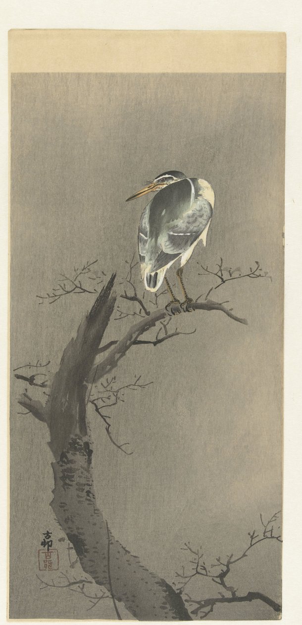 Night Heron on Branch by Ohara Koson