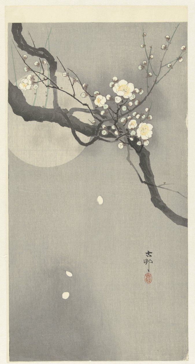Plum Blossom and Full Moon by Ohara Koson