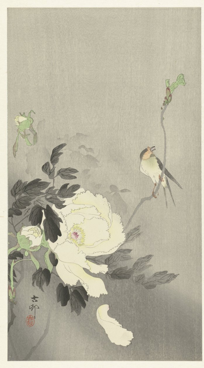 Swallow with Peony by Ohara Koson