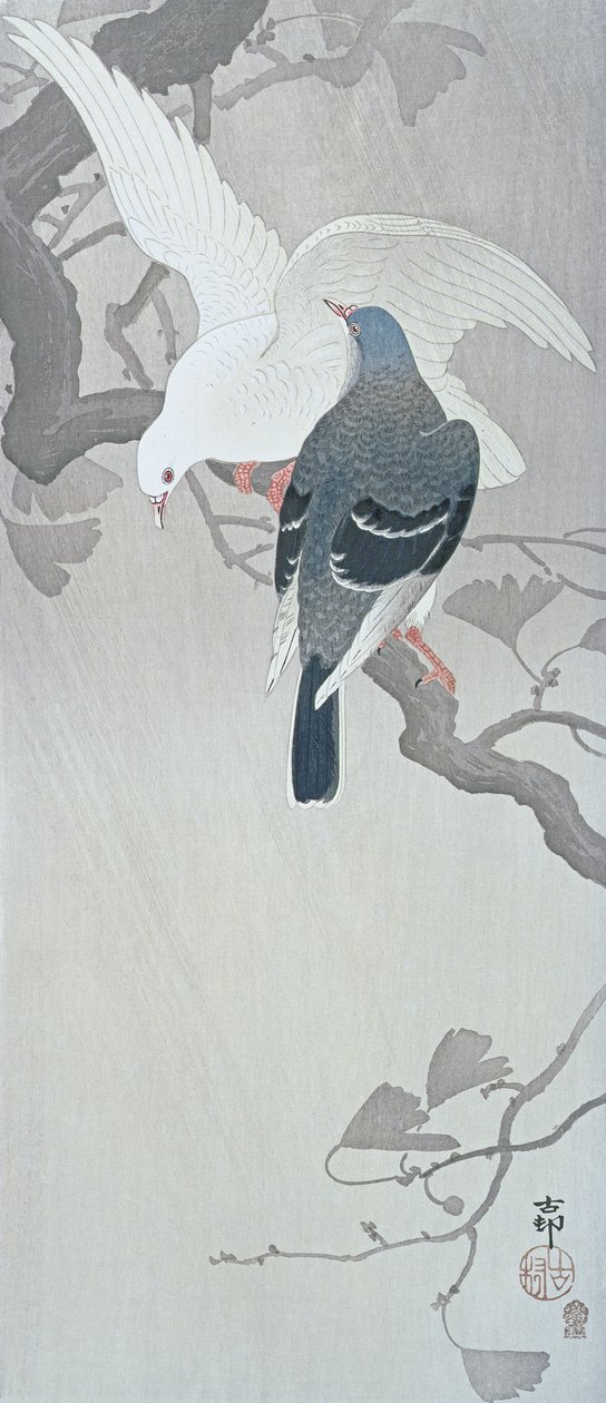 Two Doves in the rain on a branch of a Ginko tree by Ohara Koson