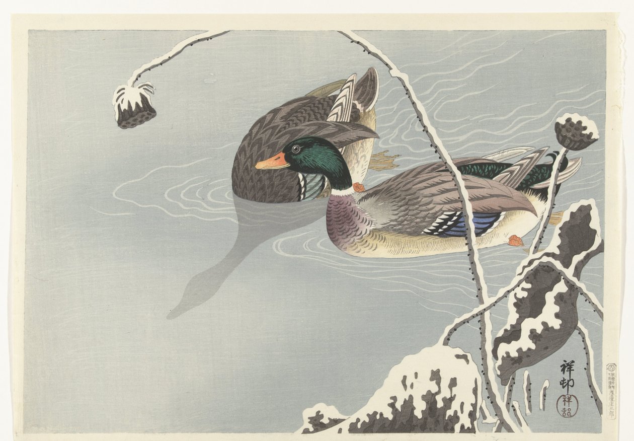 Two Mallards near a Snow-Covered Lotus by Ohara Koson