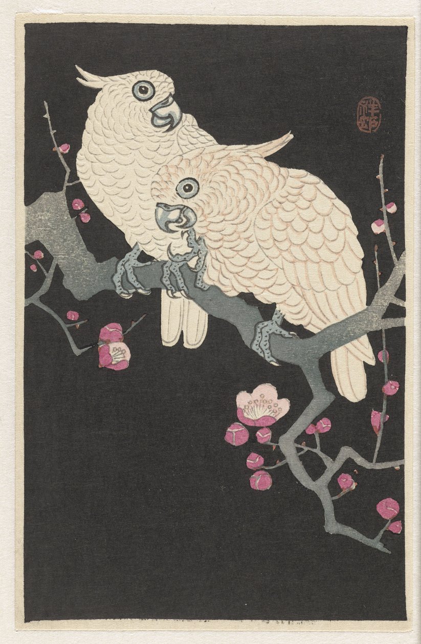 Two cockatoos and plum blossom by Ohara Koson