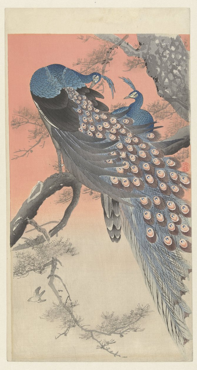 Two Peacocks on a Tree Branch by Ohara Koson