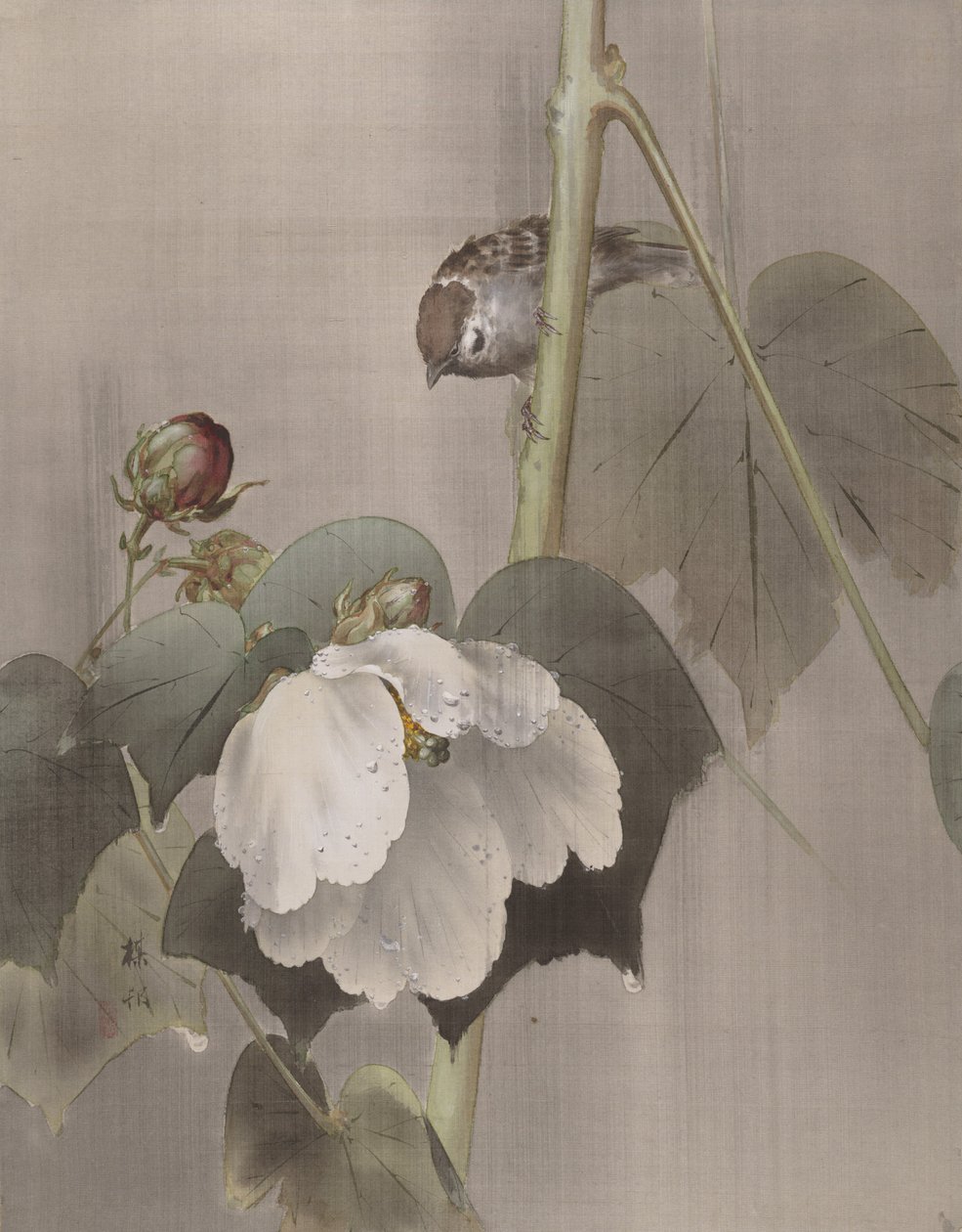 Cotton Rose Mallows in the Rain by Okada Baison