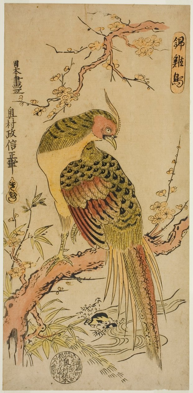 Golden Pheasant by Okumura Masanobu