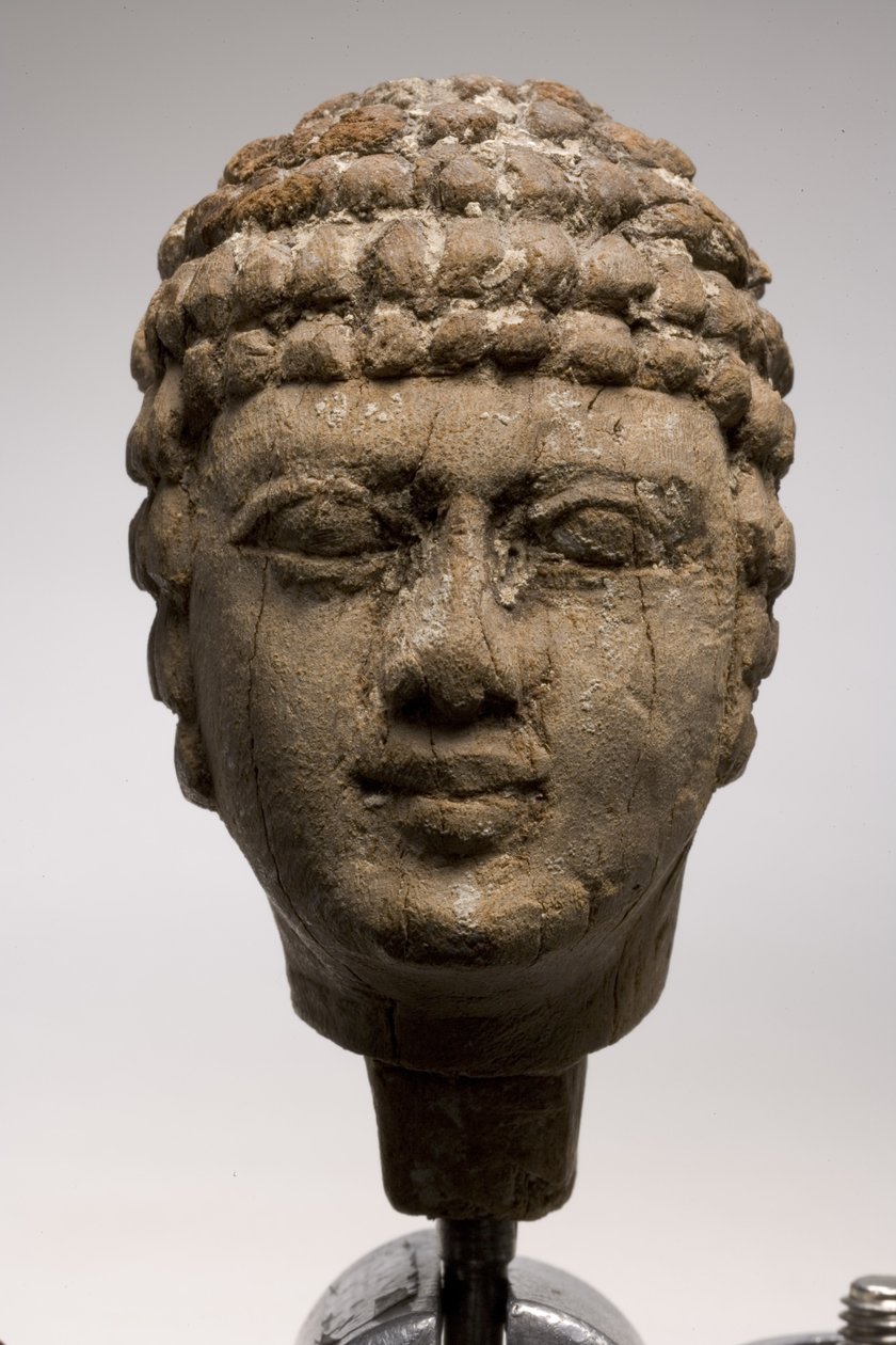 Head of a man by Old Kingdom Egyptian