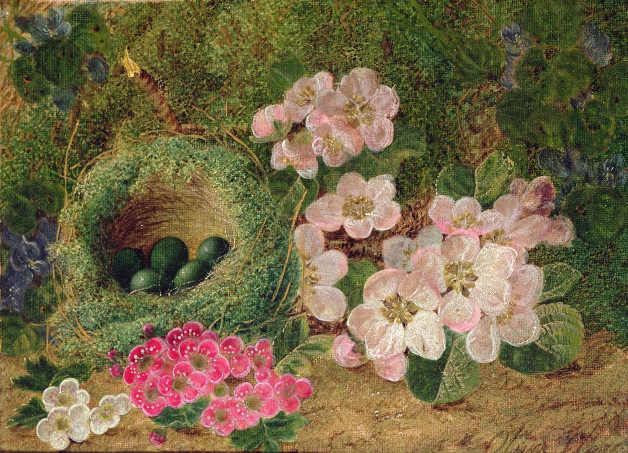 Primroses by a Bird