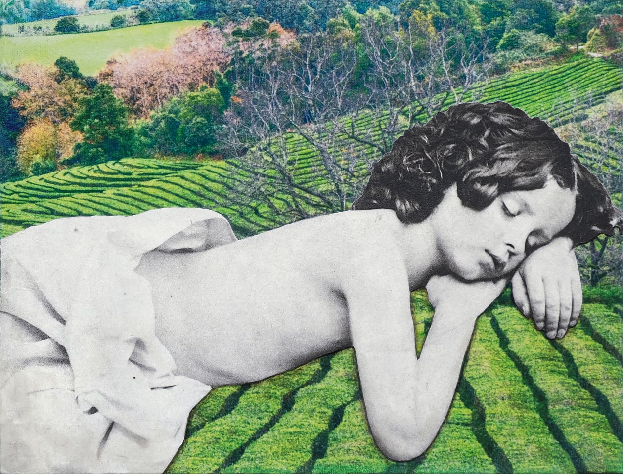 Sleeping Child by Olivia Gozzano
