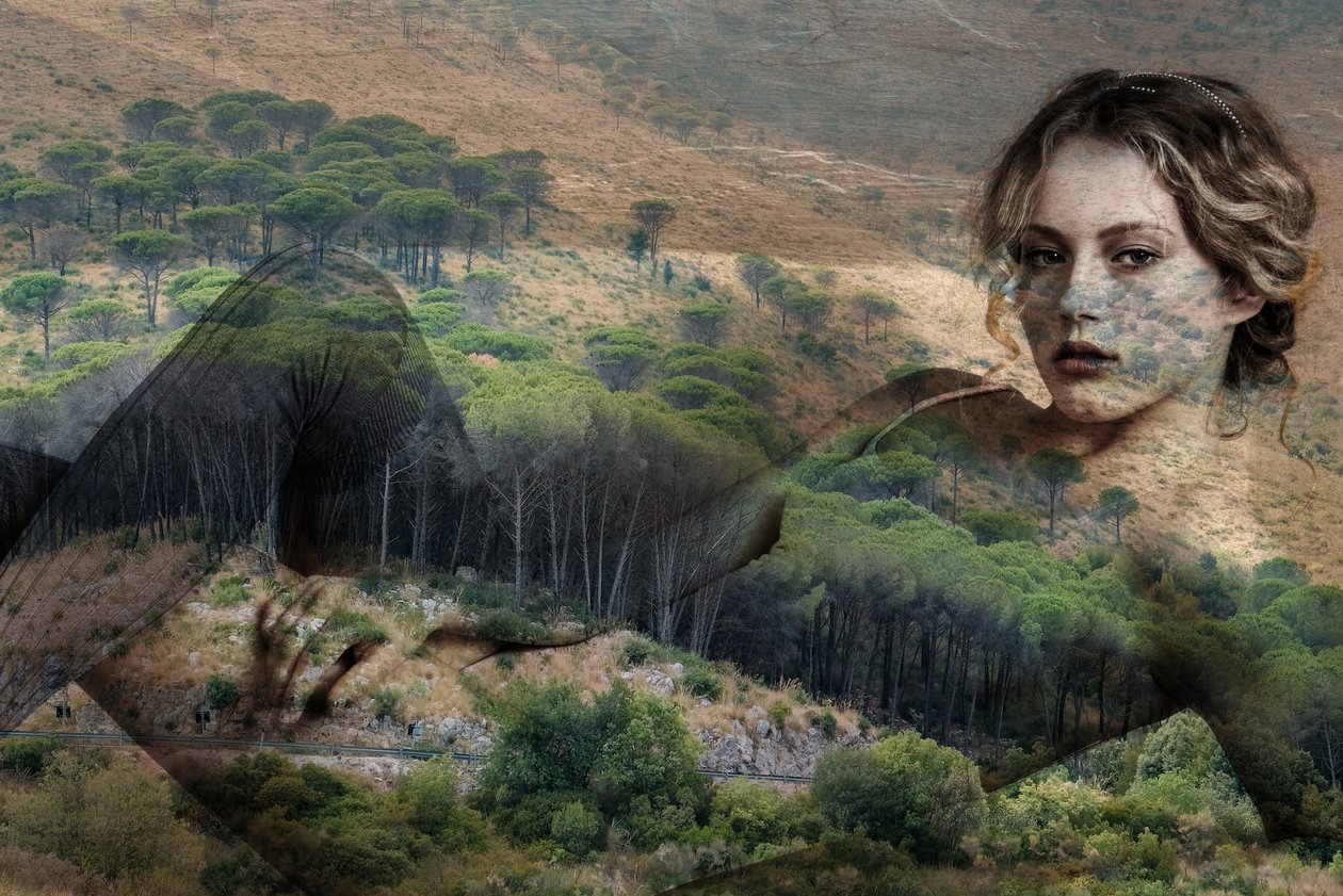Hennessi Appia, 2023 by Olivia Gozzano
