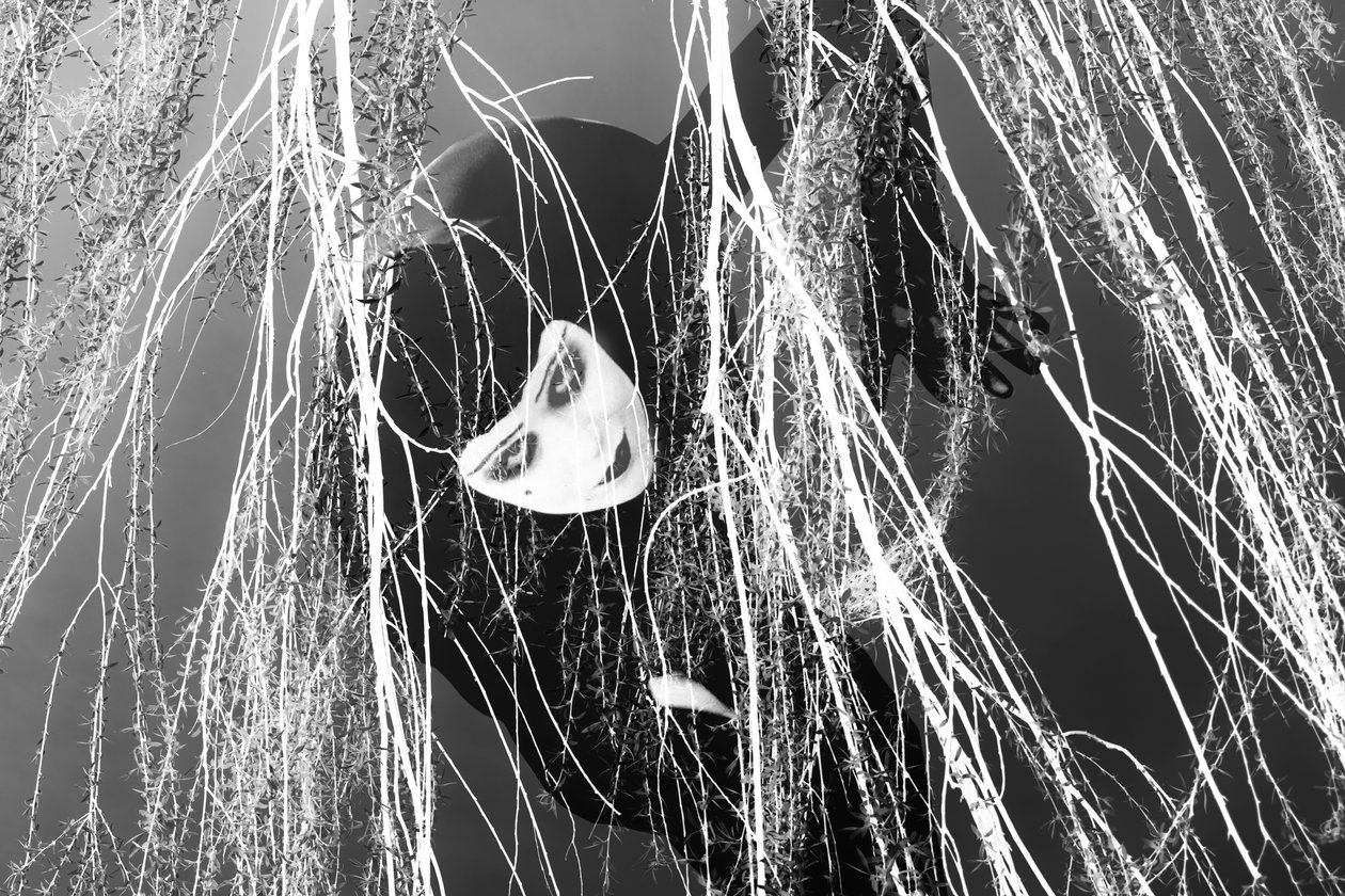 Thief by Olivia Gozzano