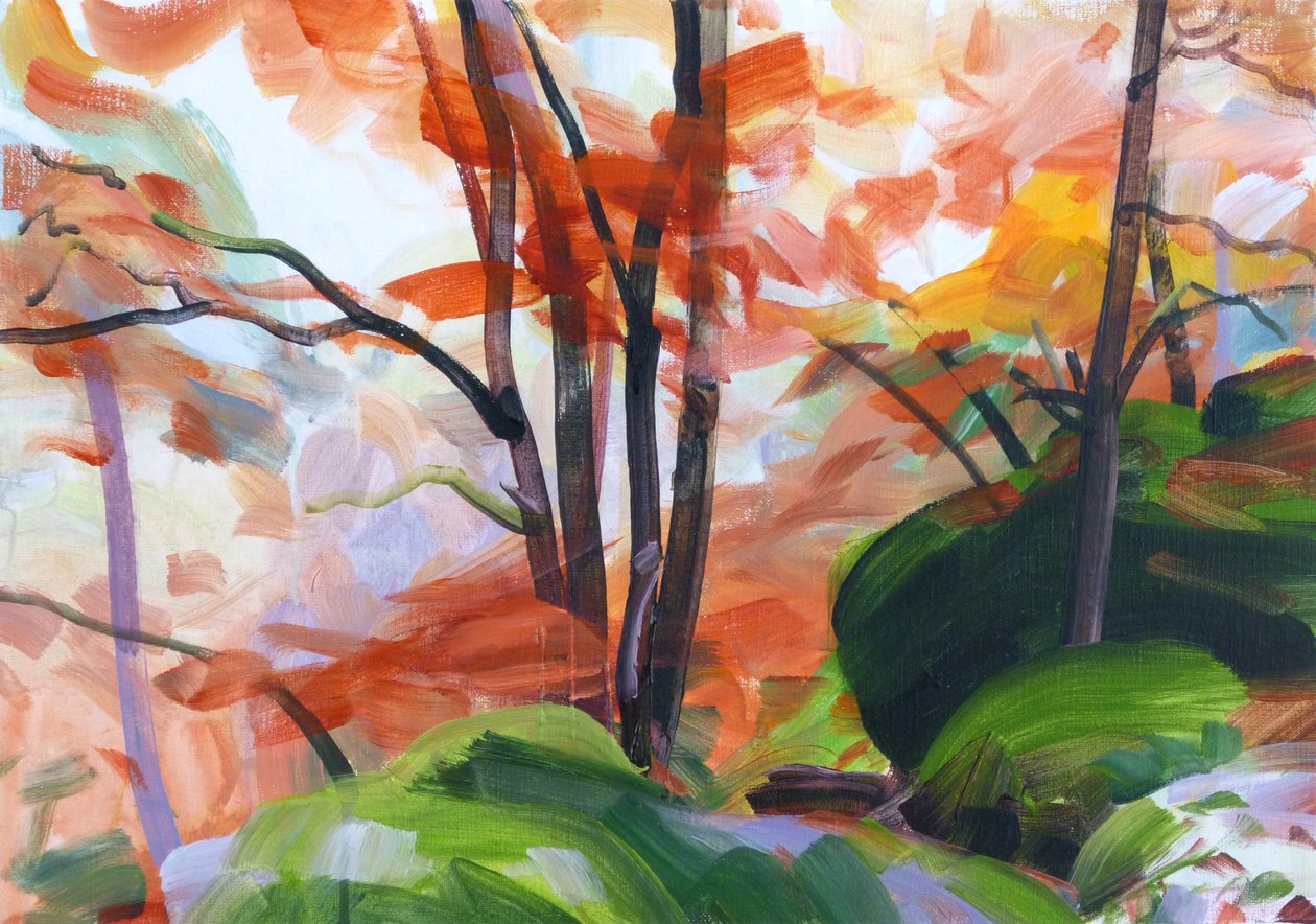 Forest 34 by Olivier Morel