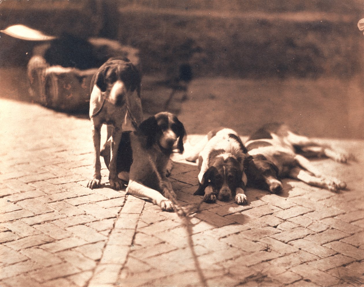 Hunting Dogs, c.1853 by Olympe Aguado
