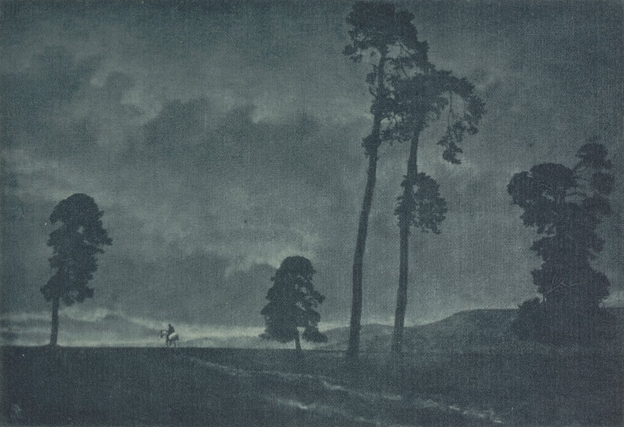 Camera Work: The Solitary Horseman, 1904 by Oscar and Theodor Hofmeister