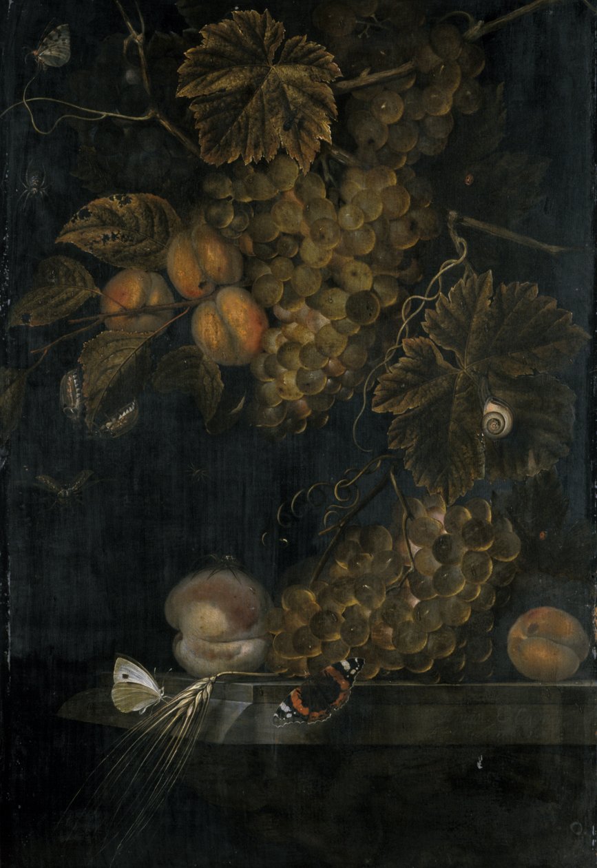 Still Life with Peaches and Grapes by Ottmar the Elder Elliger