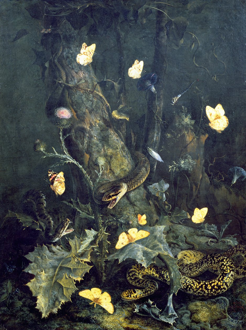 Snakes and Butterflies, 1670 by Otto Marseus  van Schrieck