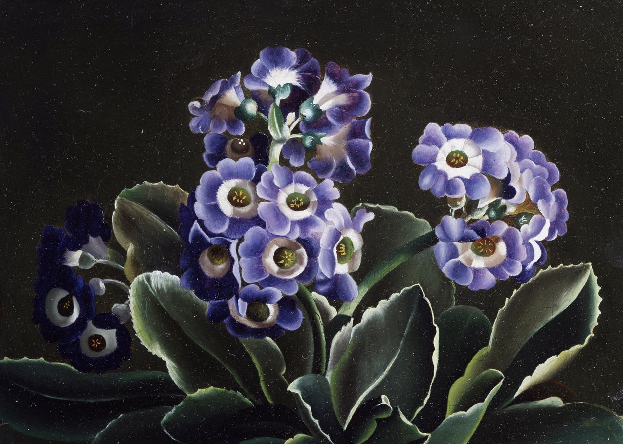 Still Life of Primroses by Otto Didrik Ottesen