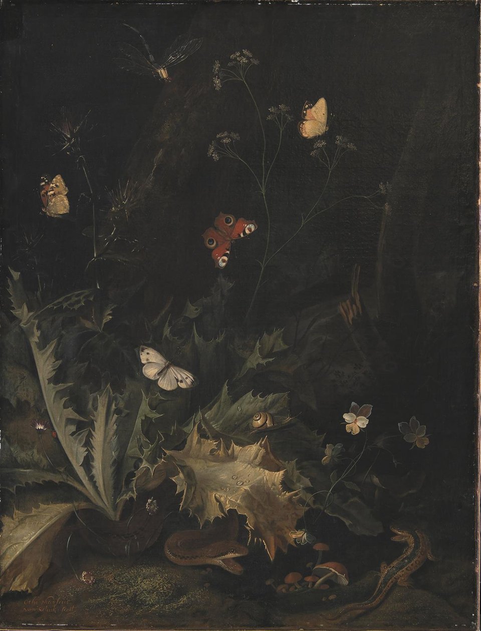 A Forest Floor with a Thistle, a Snake, a Lizard and Butterflies by Otto Marseus  van Schrieck