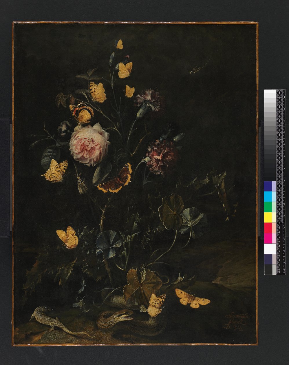 Flowers, Insects and Reptiles by Otto Marseus  van Schrieck