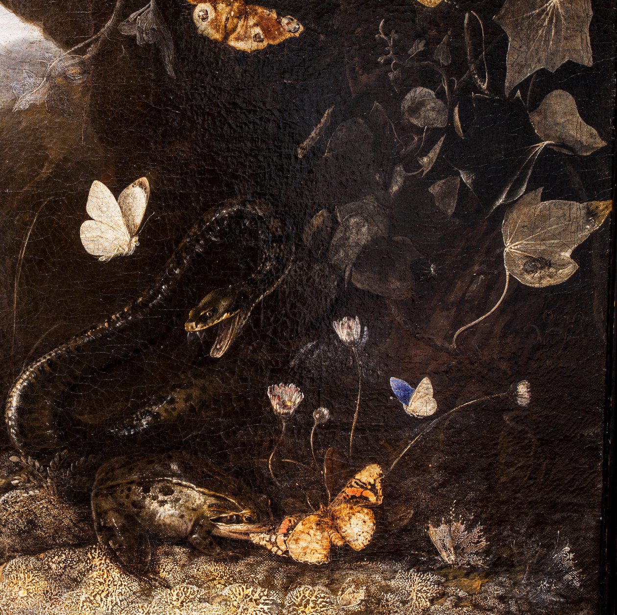Snakes, Toads and Butterflies by Otto Marseus van Schrieck