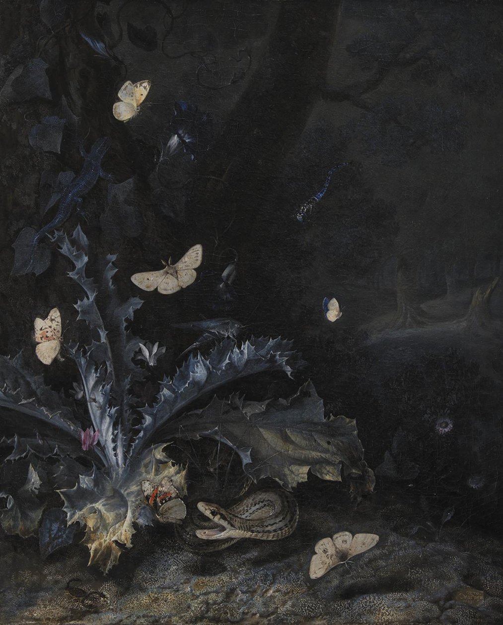 Still Life with Thistle and Snake by Otto Marseus  van Schrieck