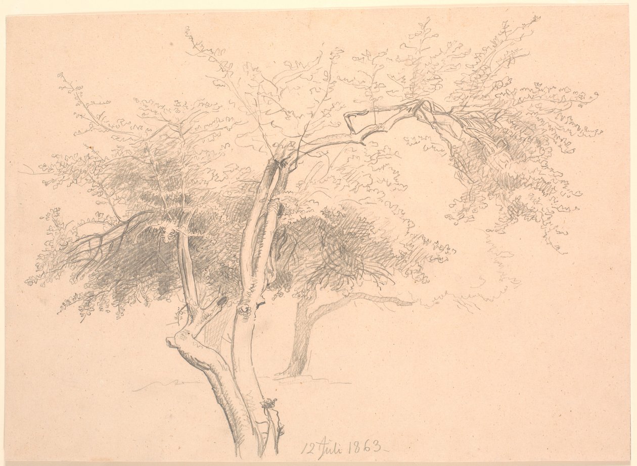 Study of Tree Tops by P.C. Skovgaard