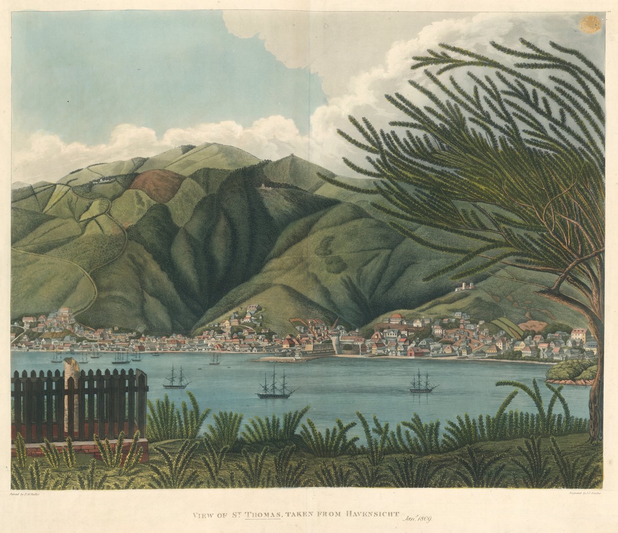 View of St. Thomas, taken from Havensicht, Jan. 18 by P. M. (after) Vieillot