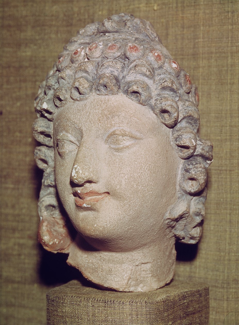 Head of a Buddha, Greco-Buddhist style, 1st-4th century by Pakistani School