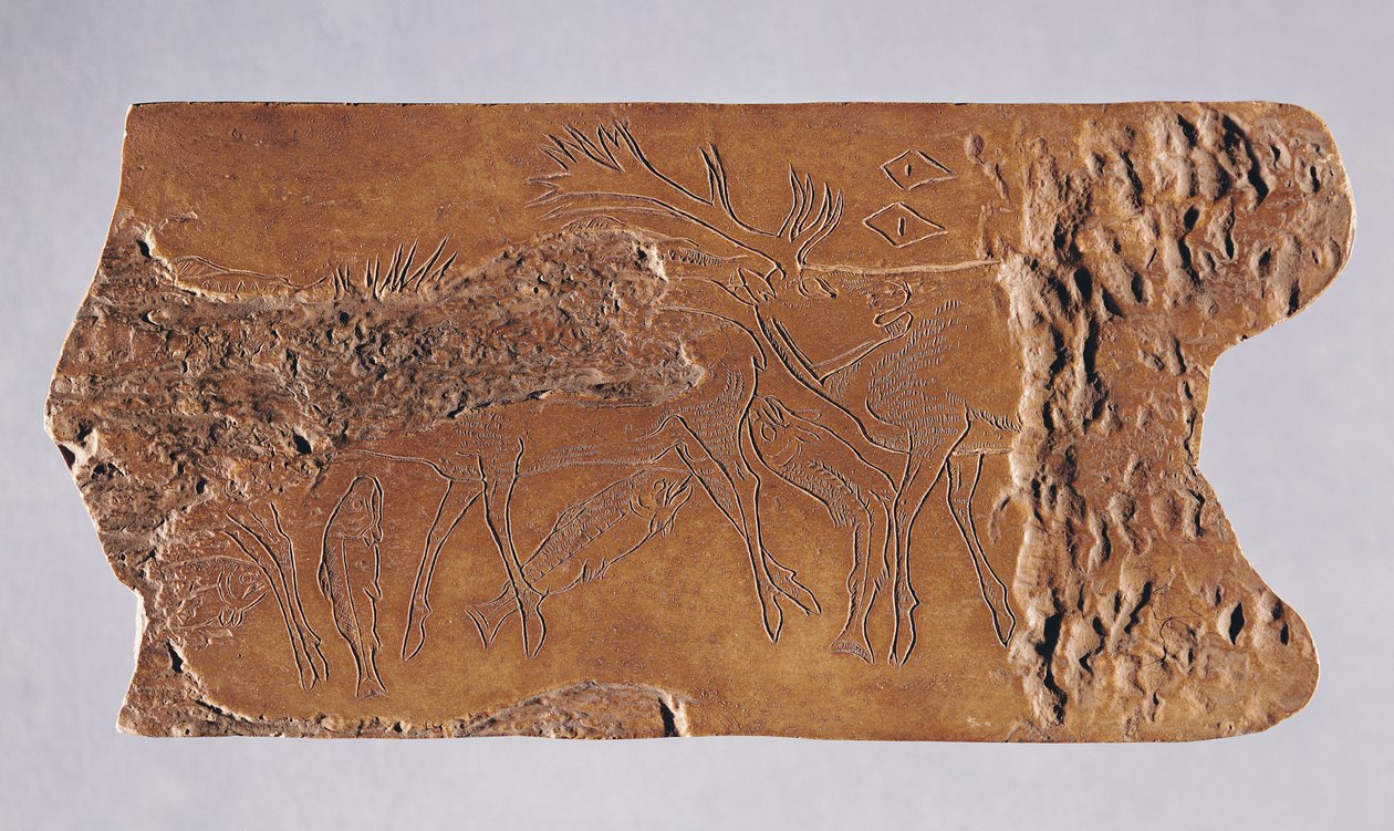 Reindeer Horn Carved with Deer and Leaping Salmon, from the Grotte de Lortet, Magdalenian by Paleolithic