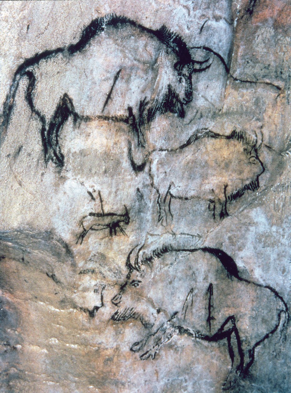 Injured Bison, Magdalenian by Paleolithic Paleolithic