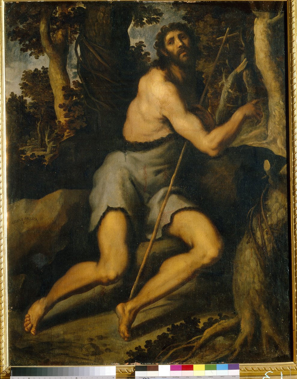 Saint John The Baptist In The Wilderness by Palma Il  Giovane