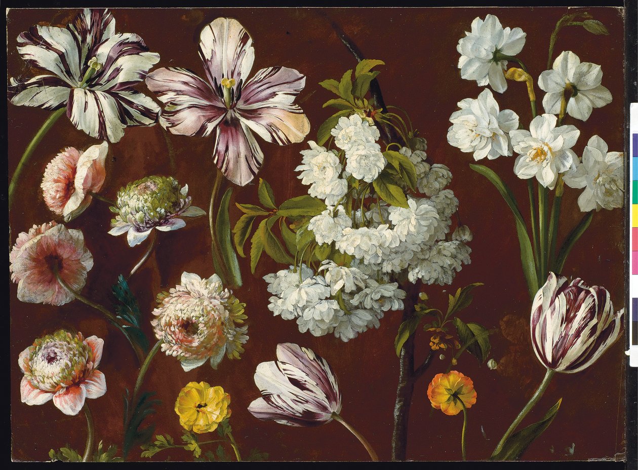 Purple tulips, white flowering prunus, narcissus and pink chrysanthemum by Pancrace Bessa