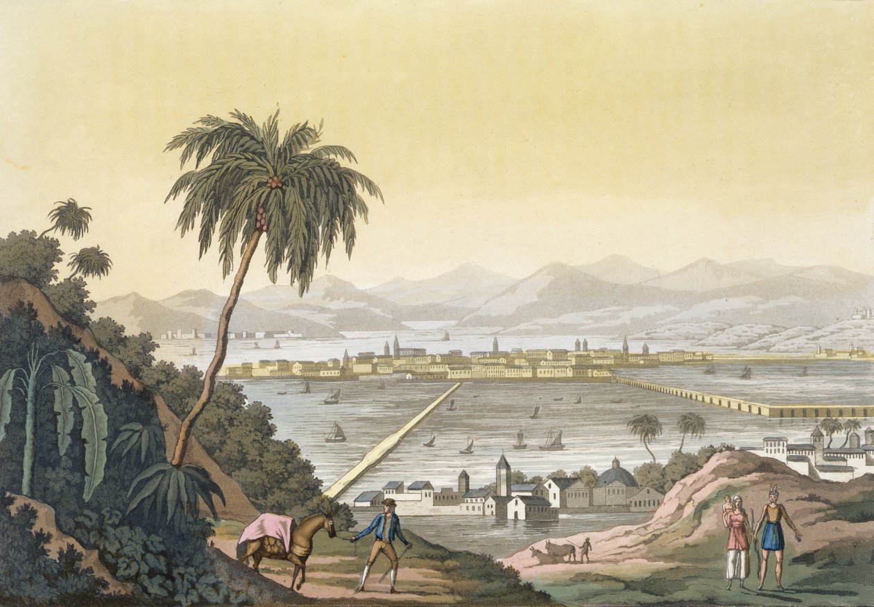 View of Mexico City by Paolo Fumagalli