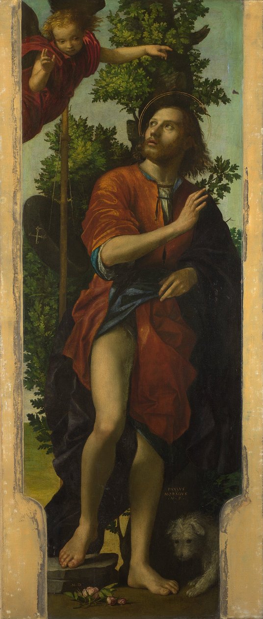 Saint Roch by Paolo Morando Cavazzola