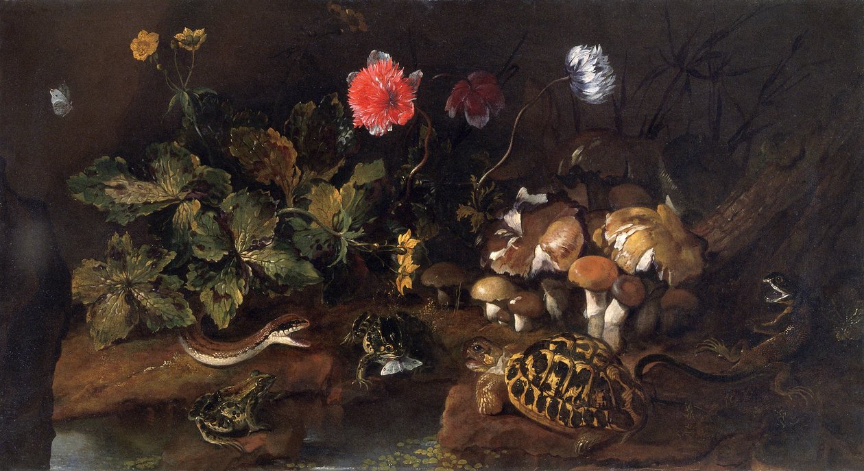 Still Life with a Snake, Frogs, Tortoise and Lizard, 1656-1673 by Paolo Porpora