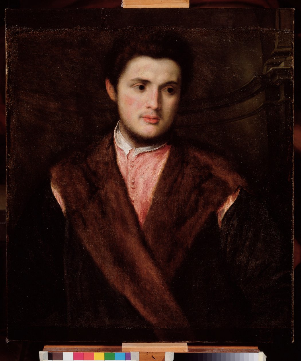 Portrait of a Young Man Wearing a Fur Coat by Paris Bordone
