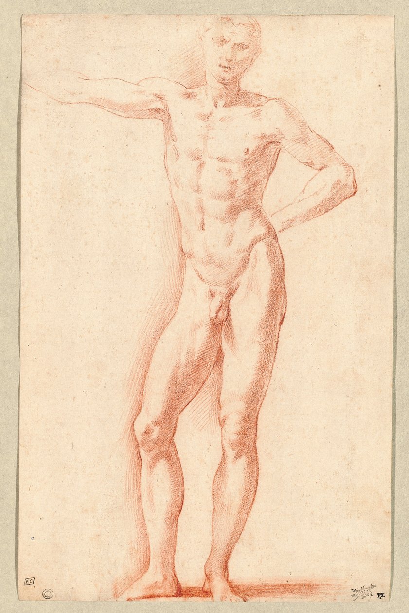 A Male Nude by Parmigianino (1503-40)