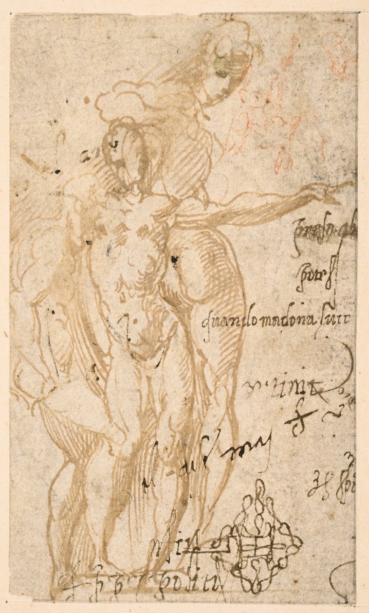 Study of three nude figures by Parmigianino