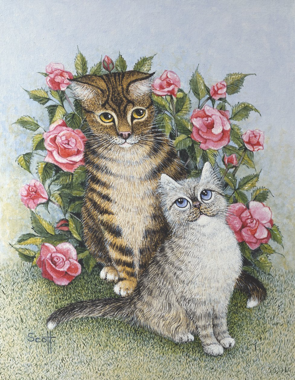 Attraction by Pat Scott