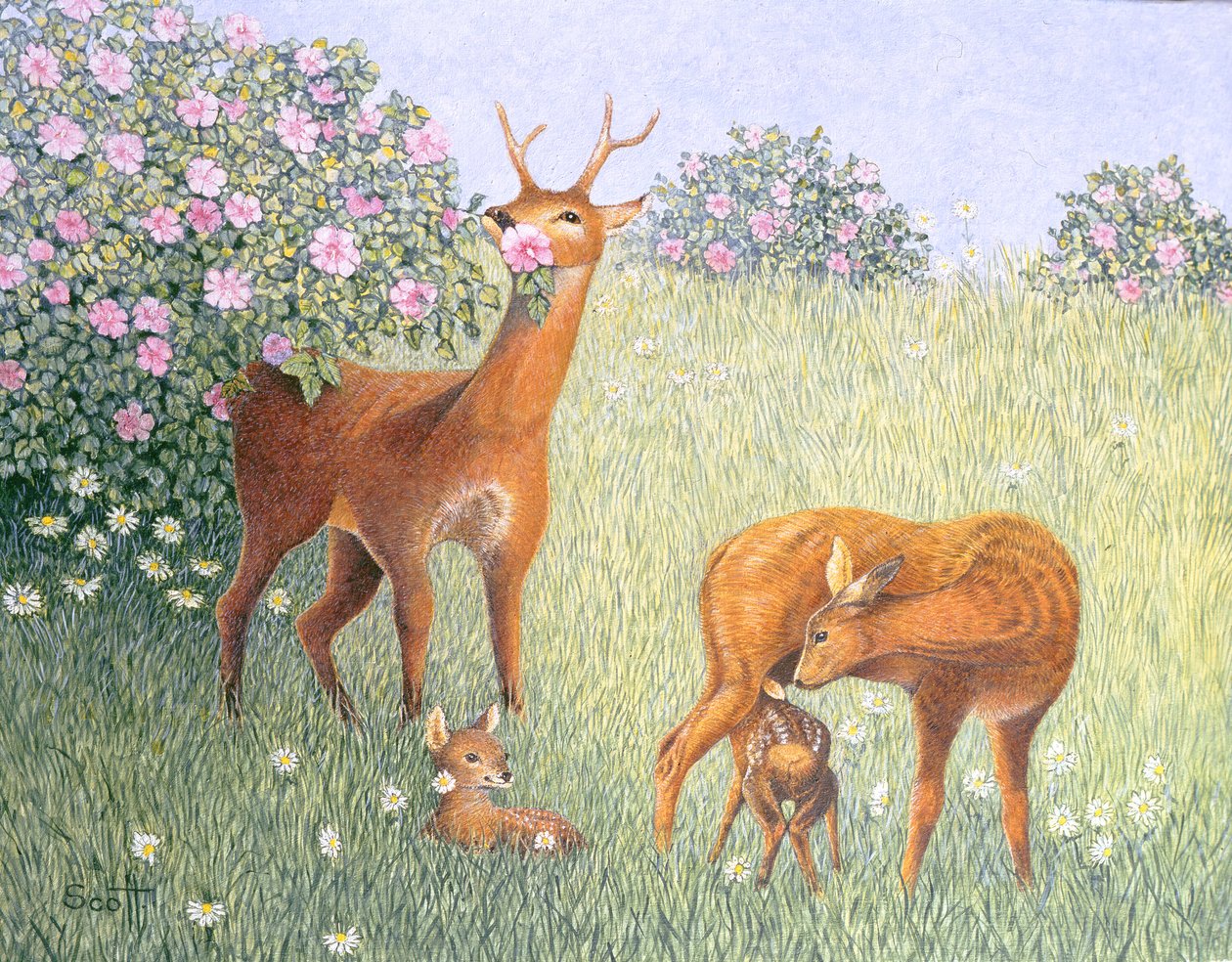 Deer Family by Pat Scott